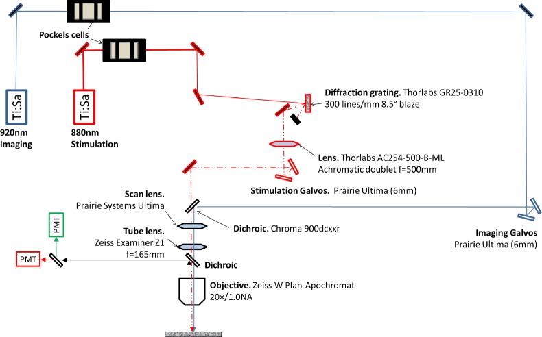 Figure 1—figure supplement 1.