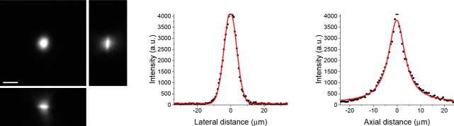 Figure 1—figure supplement 2.