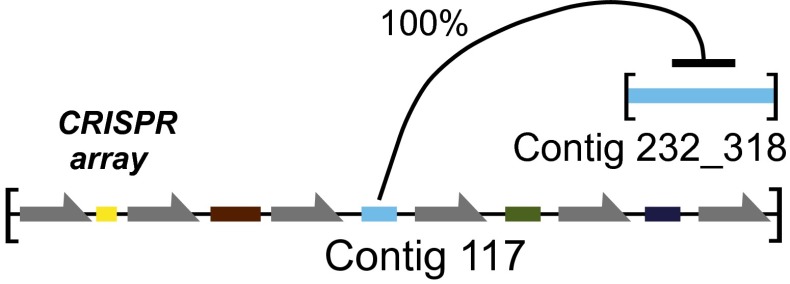 Fig. 5.