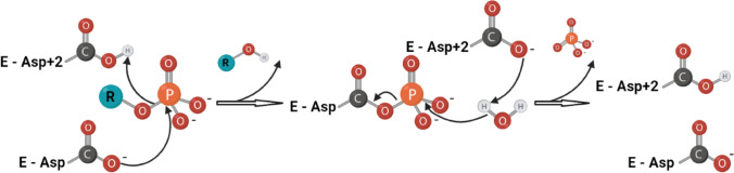 Fig. 4