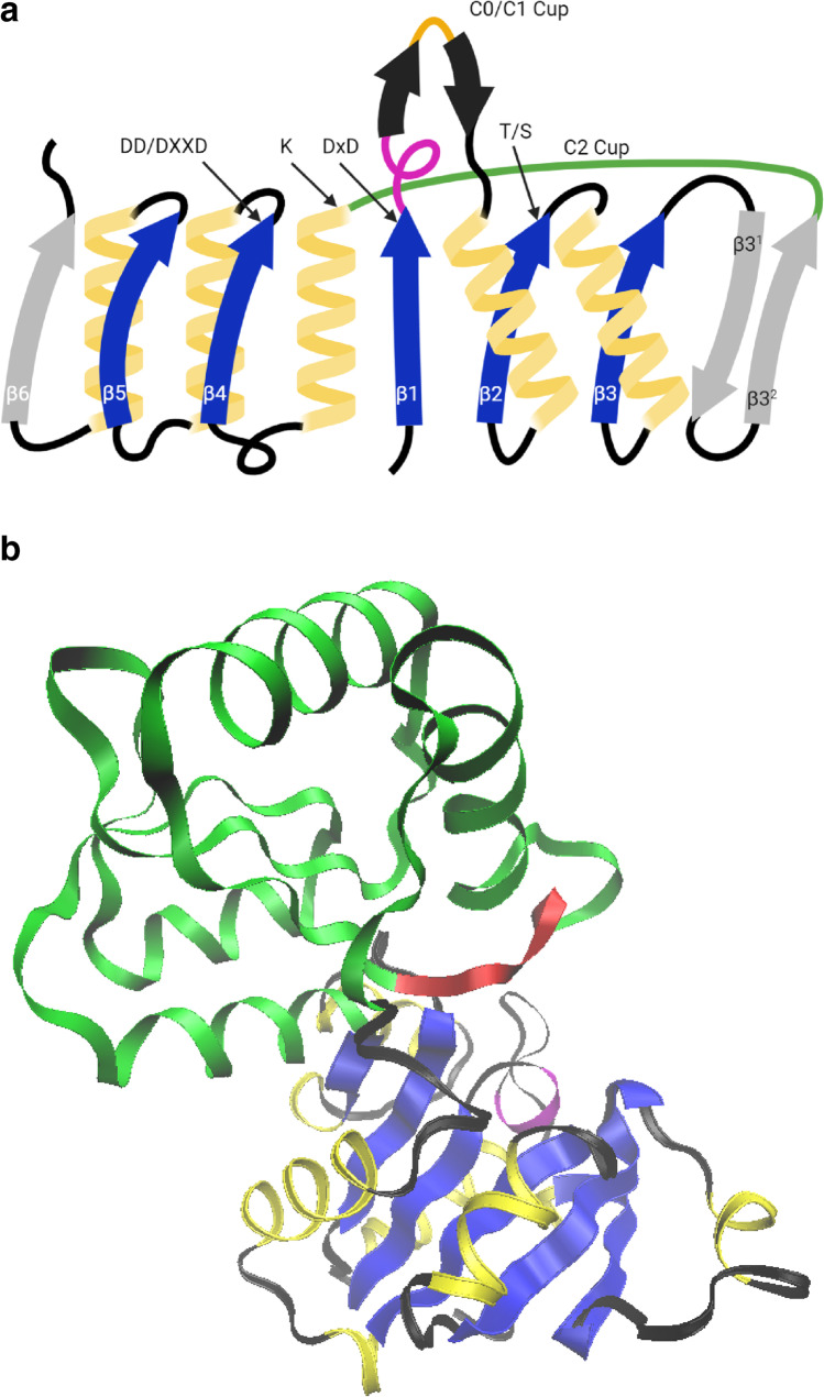 Fig. 3