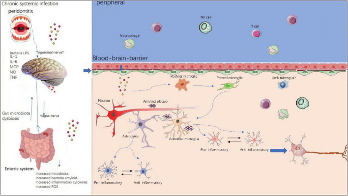 FIGURE 3