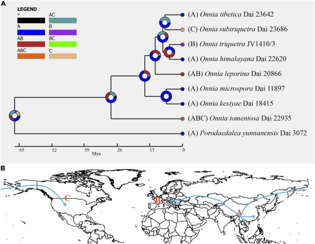 FIGURE 3