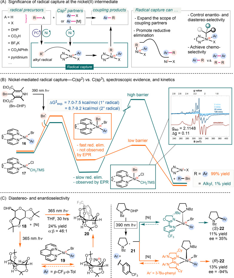 Scheme 4