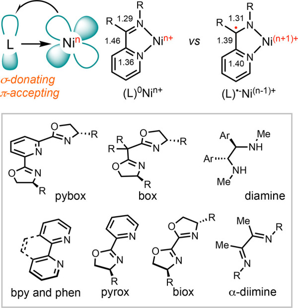 Scheme 7