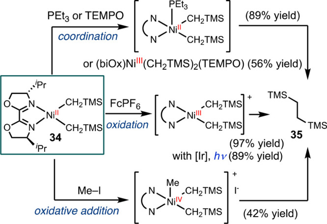 Scheme 6