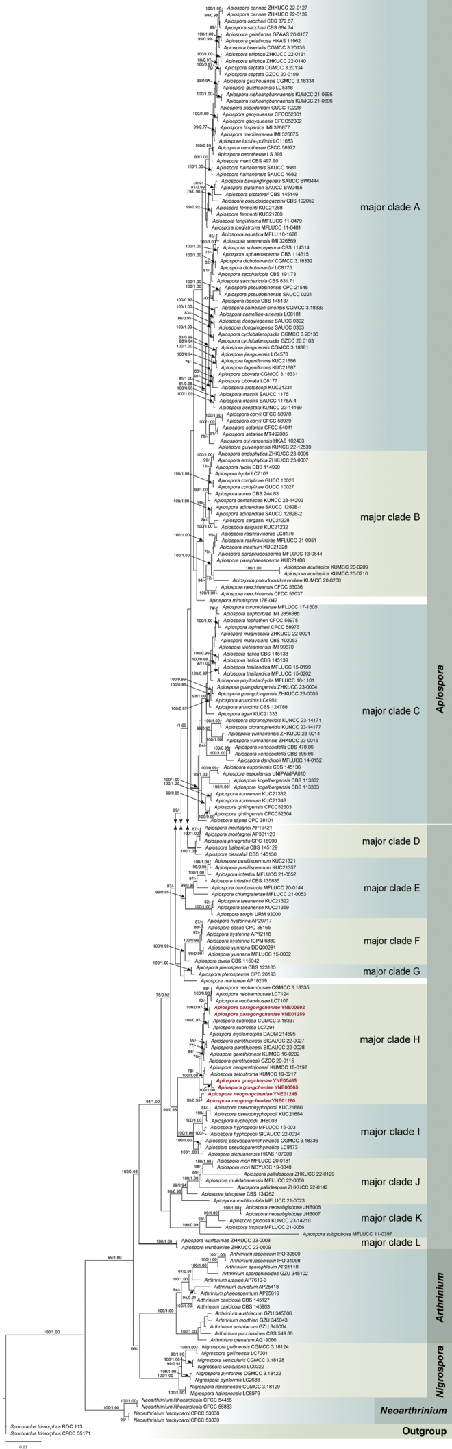 Figure 1.