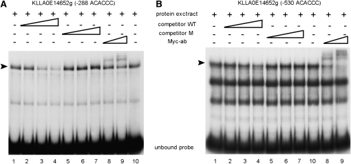 Figure 5.—