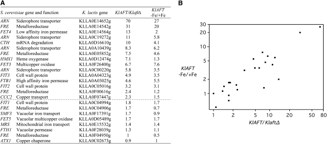 Figure 3.—