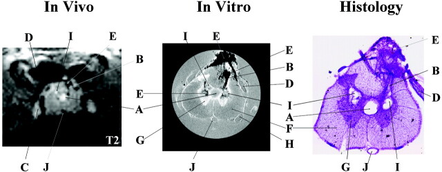 Fig 1.