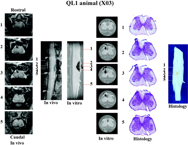 Fig 6.