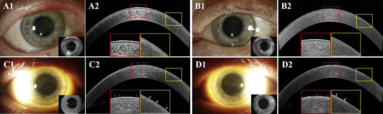 Fig. 2