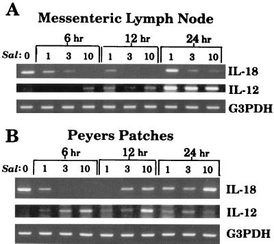 FIG. 7