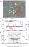 Fig 11