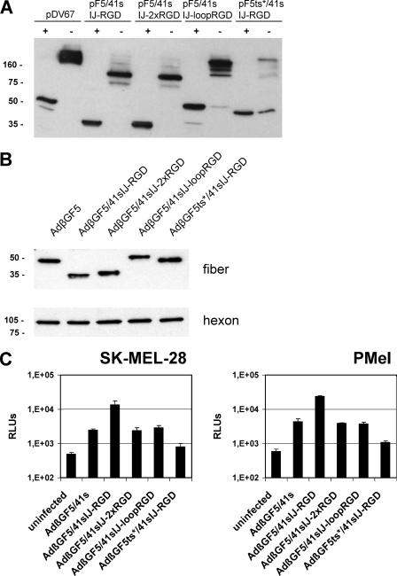 FIG. 6.