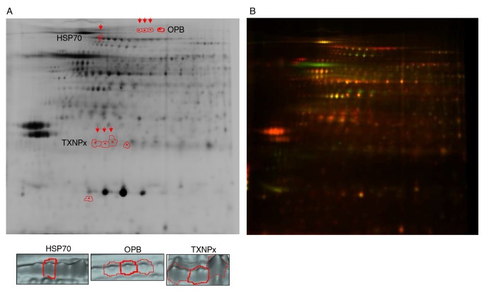 Fig 3