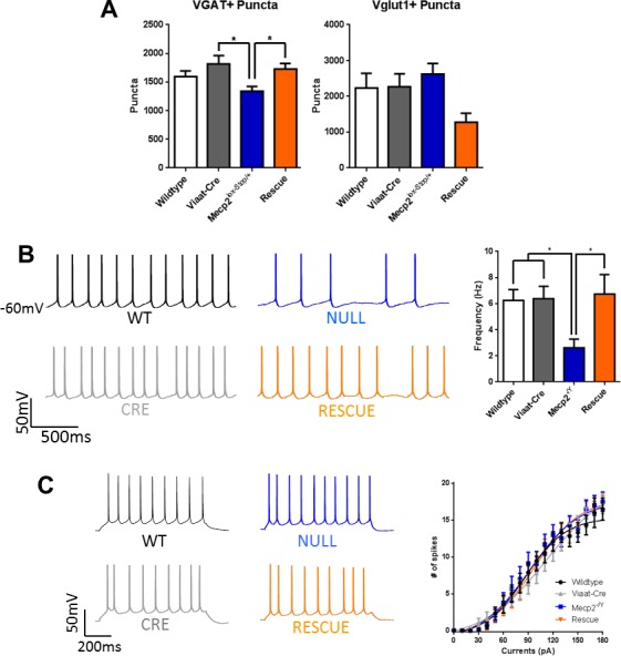 Figure 5—figure supplement 1.