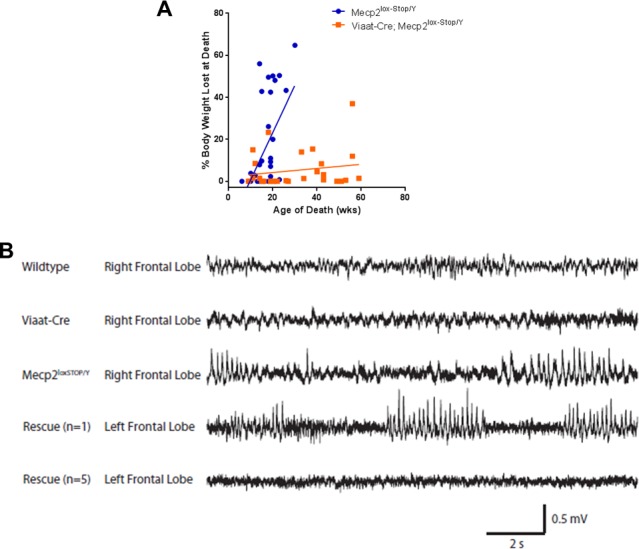 Figure 1—figure supplement 2.