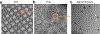 Extended Data Figure 6: