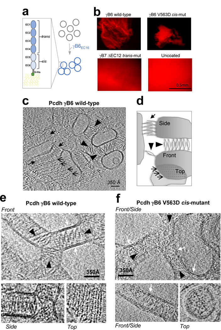 Figure 3: