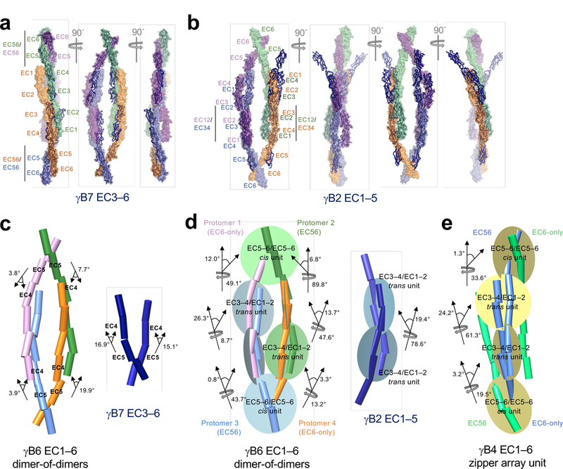 Extended Data Figure 5: