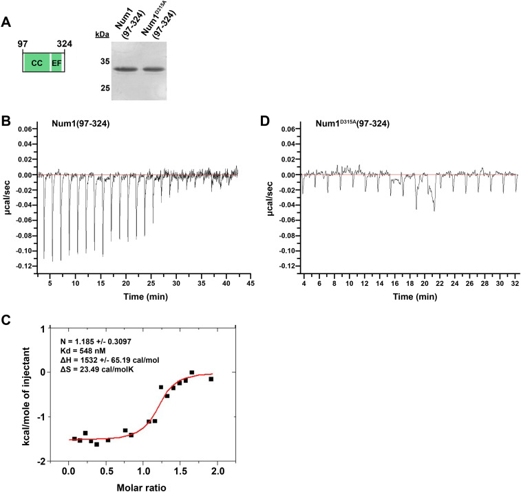 FIGURE 3: