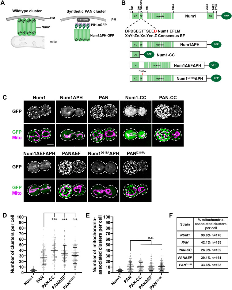 FIGURE 1: