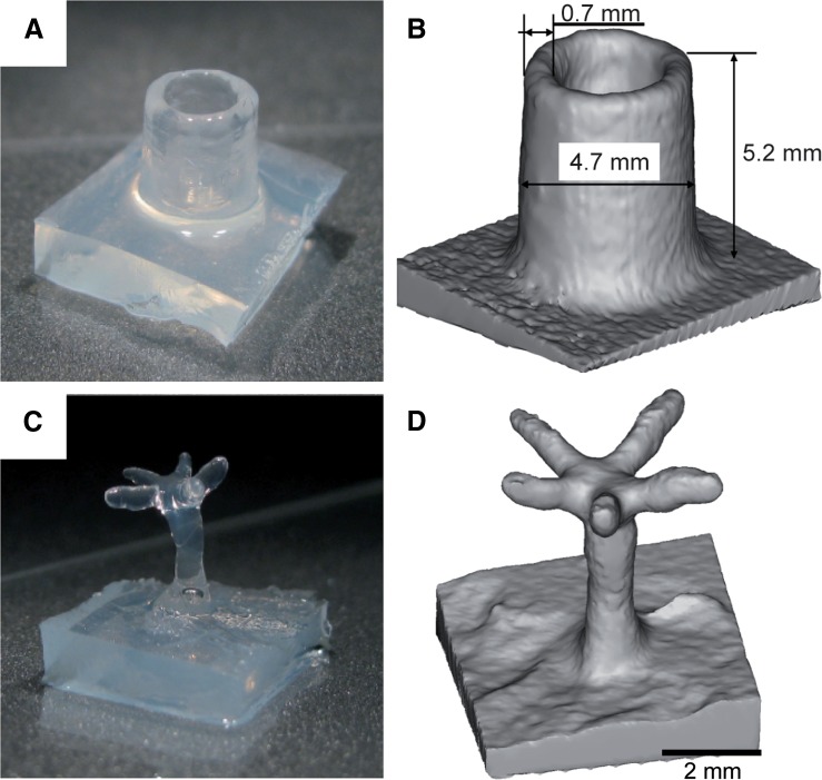 FIG. 7.