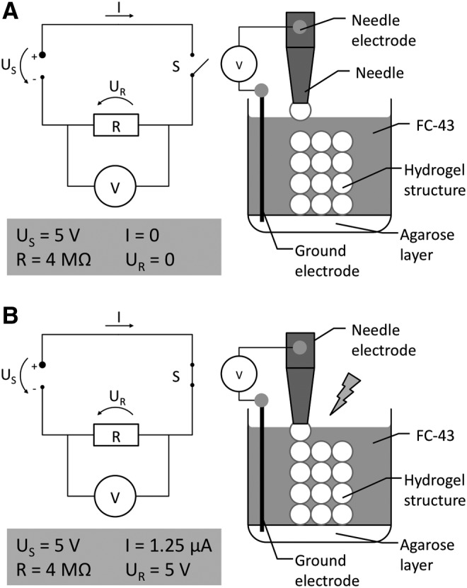 FIG. 4.