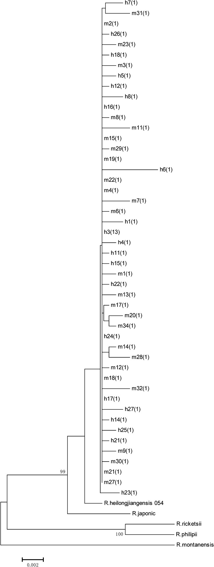 Fig. 1.