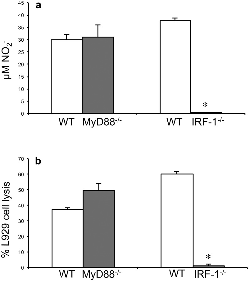 Fig 5