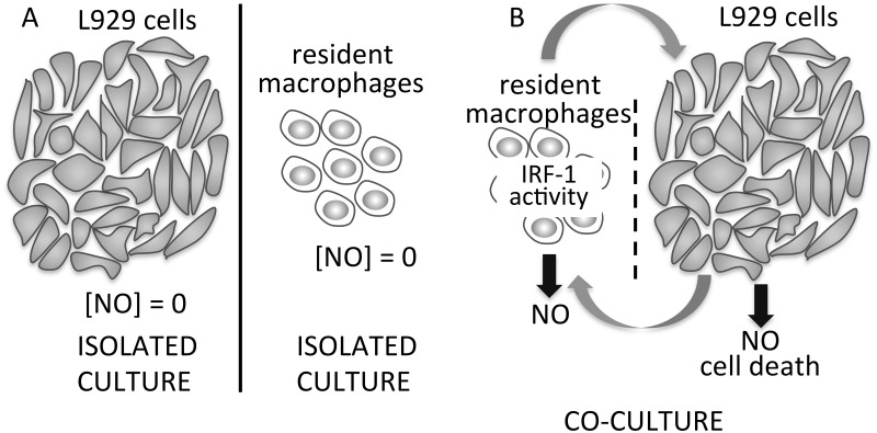 Fig 8