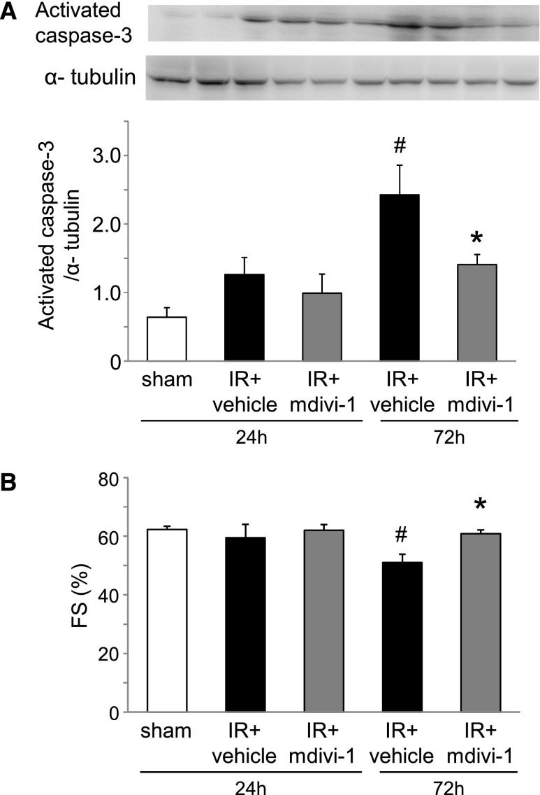 Figure 10.