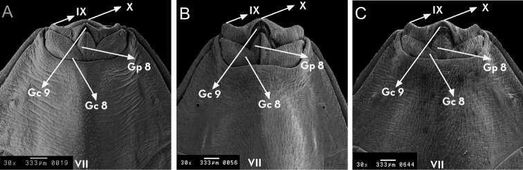 Figure 11.