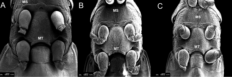 Figure 6.