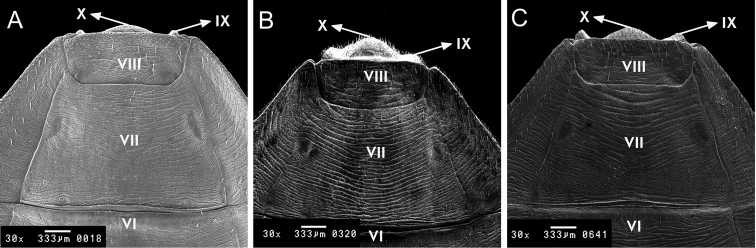 Figure 9.