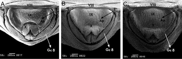 Figure 10.