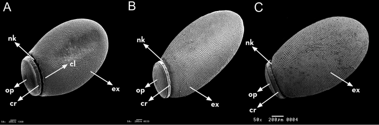 Figure 12.