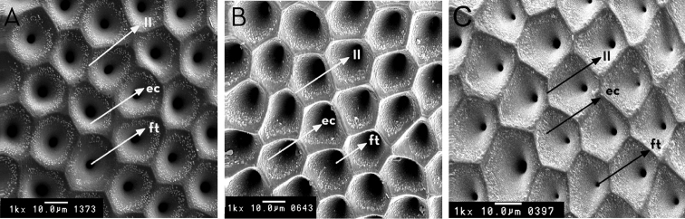 Figure 13.