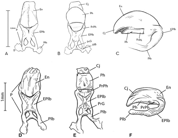 Figure 7.