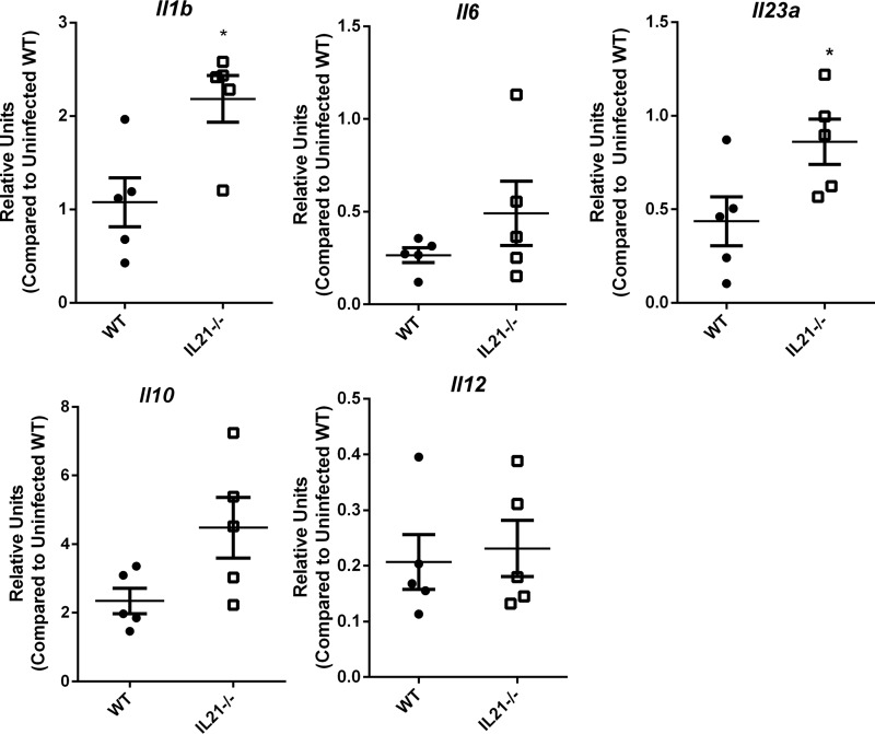 FIG 4