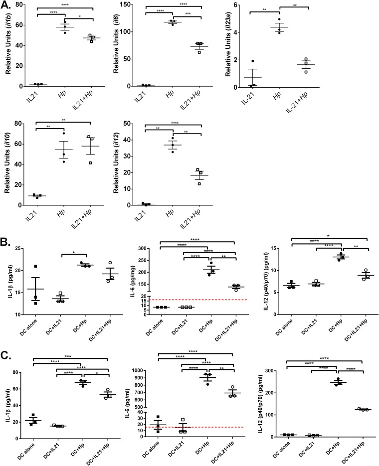 FIG 3