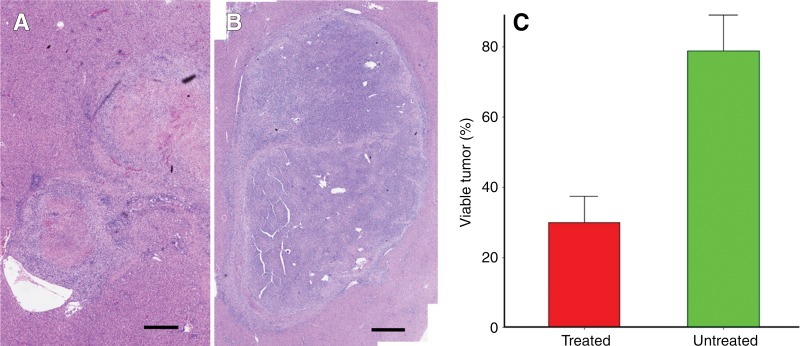 Figure 4: