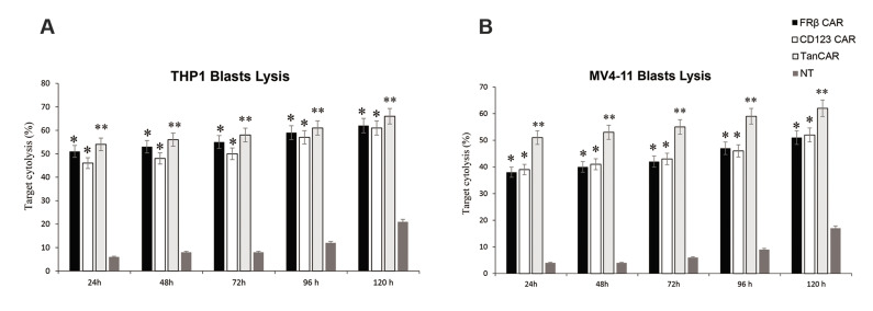 Fig.3