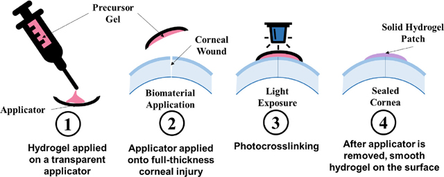 graphic file with name nihms-1749387-f0007.jpg