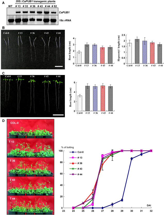 Figure 4.