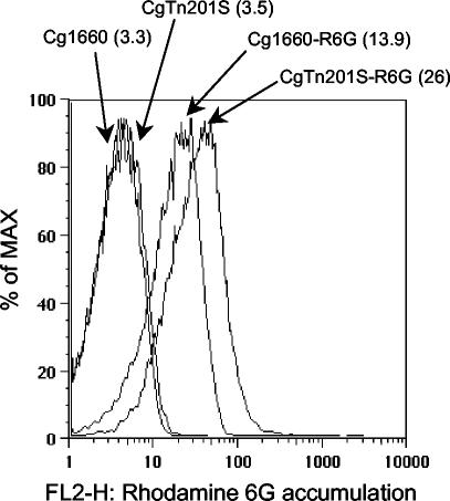 FIG. 6.