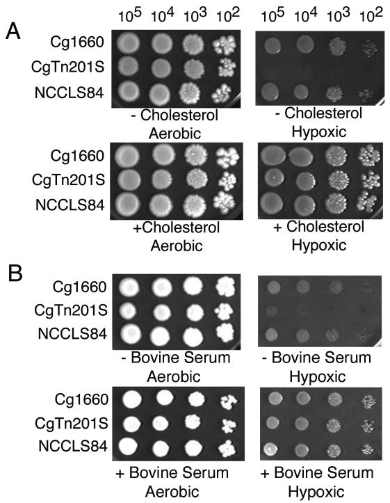 FIG. 4.