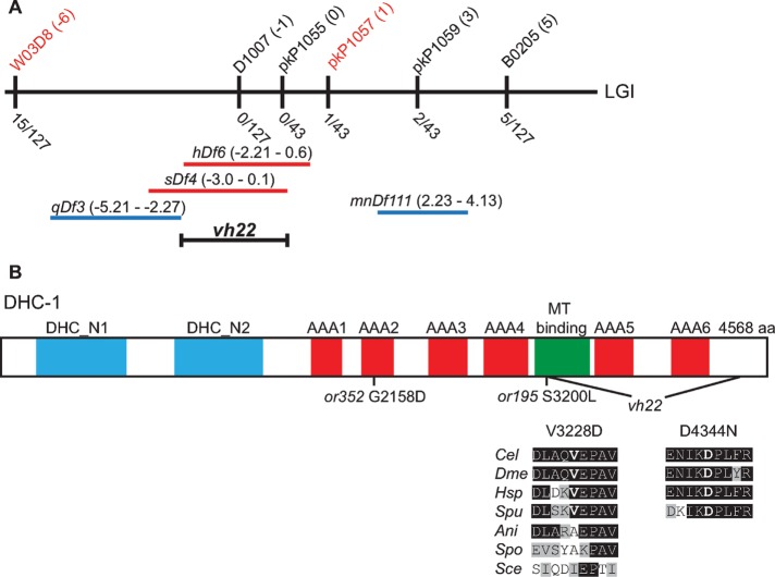 FIGURE 2: