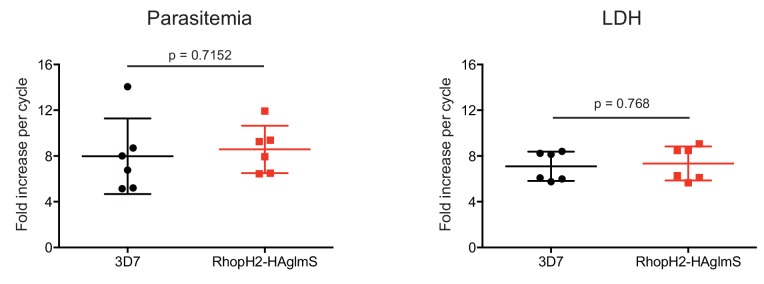 Figure 1—figure supplement 1.